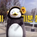 다니엘꽃집 이미지