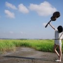 인디시스템 이미지