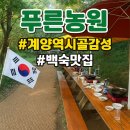 푸른 | 인천 계양역 시골감성 백숙맛집 푸른농원 후기(+픽업서비스)