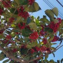 구평공원 이미지