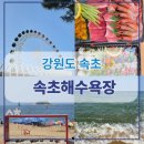 속초수상레저 | 속초해수욕장 개장! 올 여름을 재밌게 보내는 꿀팁 | 주말 주차장 주차요금 샤워장 정보