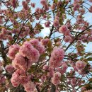 짬뽕타임 하남점 이미지