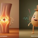 스마트한의원 이미지