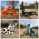 견생맛집 이미지