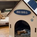주식회사 그린하우스