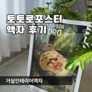 집 분위기 바꿔주는 토토로포스터 액자 후기