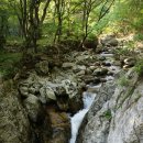 구룡자동차야영장(치악산국립공원) 이미지