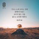 믿음의 기도로 단련된 리더 이미지