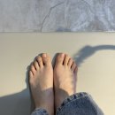 네일토레