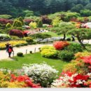 웰니스9 이미지