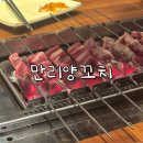 서울역 만리동 맛집 만리양꼬치