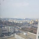 파인힐마트 이미지