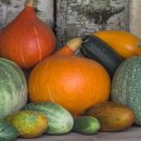 하늘농원 이미지