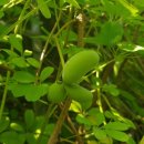 경희솔한의원 이미지