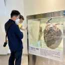 무주부화장 | [무주] 태권도원 - 태권투어 1박 2일 + 무주 반디랜드 (2일차)