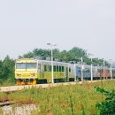 쇼잼