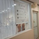 돌마로 | 미금역네일 히쥬네일, 감성 인테리어에 유지력좋은 젤네일 후기