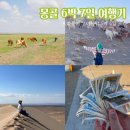 에덴호스텔 | 몽골 여행 후기 날씨 기념품 포함 고비사막 투어