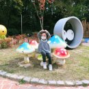 동탄 아이와 가볼만한곳! 생태체험관 시립 반석산 에코스쿨(무료입장, 사전예약 필수)