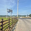 번영다방 | 강화도 가볼만한 곳: DMZ 평화의 길 트레킹 후기