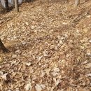 호미건강원 이미지