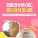 디엔드핏