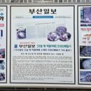 오대산메밀가 손두부