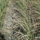 당촌축산 이미지