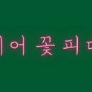 꽃피다 이미지