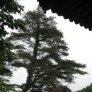 만휴