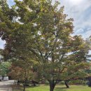 수원-1882 이미지