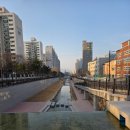 인천광역시 부평구 부평1동행정복지센터 | 인천 가볼만한 곳 부평 굴포천 생태하천 산책로 나들이 걷기에 좋은