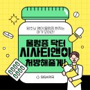 영어왕초보반 이미지