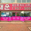 교하대운공인중개사사무소 네이버블로그