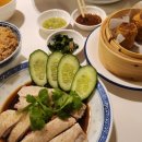 아리치킨 - 파주시 숲속노을로 299 | 방콕 아리 맛집 베통 치킨라이스 Baytong Chicken Rice 솔직 후기