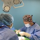 사과나무 한방재활 동물병원 이미지