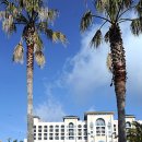 롯데호텔제주 이미지