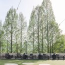 (주)이랜드파크 켄싱턴리조트 충주 | 충주 감성숙소 반려견 동반 포레스트 감성 BBQ 켄싱턴 리조트 충주