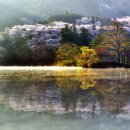 춘하추동 이미지