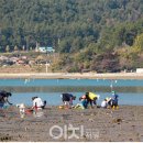 전도어촌체험휴양마을 이미지