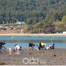 전도어촌체험휴양마을 이미지