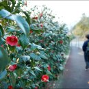 토영이야~길(2코스-미륵도길) 이미지