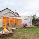 댕댕그라운드 이미지