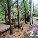 예촌민박 이미지