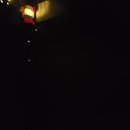 싱싱딸기 이미지