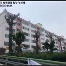 행하길 8 이미지