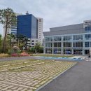 대박 | 동명동 맛집 유미타코 타코커플세트 구성 대박! 광주 치미창가 맛집 데이트 후기