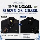 뉴타운세탁소 | 탈색된 라코스테 폴로티 염색 복원 작업 후기-(은평구 명품 세탁)