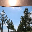 (주)영종레저 | 영종도 레일바이크｜영종씨사이드 레일바이크 4인 가족 탑승 후기!