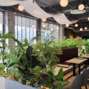 브런치빈 미사점 이미지